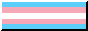 The transgender flag